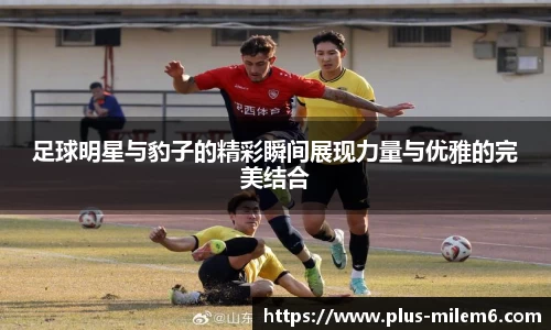 足球明星与豹子的精彩瞬间展现力量与优雅的完美结合